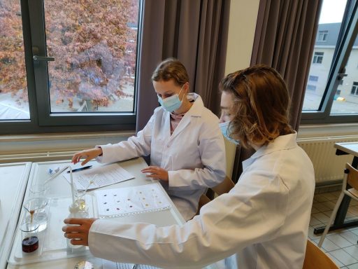 imgly_2674475978401128595